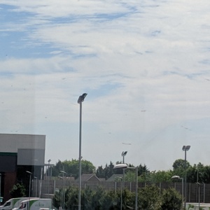 IMG_20190705_065454.jpg